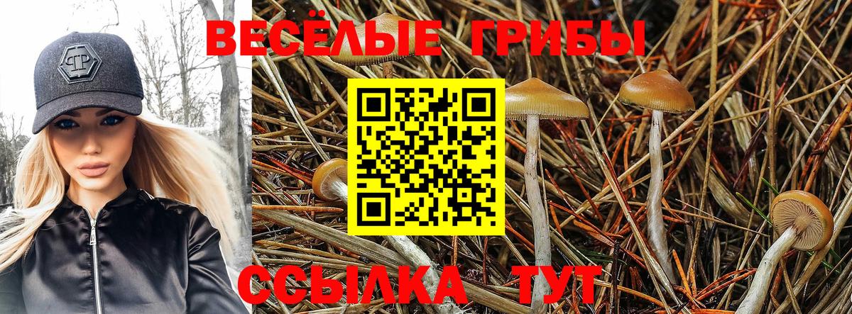 Псилоцибиновые грибы Psilocybe Кушва